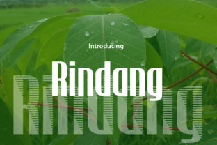 Rindang Display Font for Editorial Design and Creative Projects